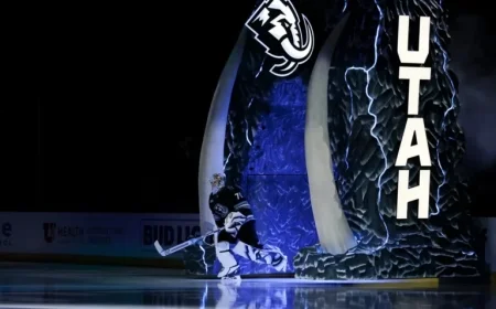 Choosing Your First NHL Team: A Guide for New Fans