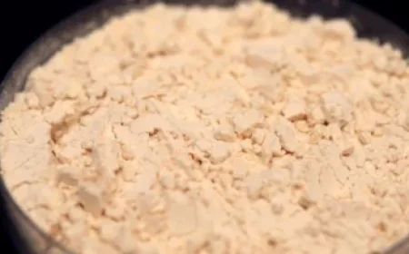 Tesla Driver Stuns with Low Annual Electricity Bill