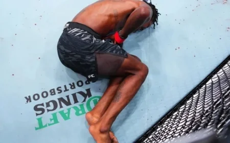 Pros Criticize Referee Mistake in Malott vs. Holland UFC Vancouver Fight