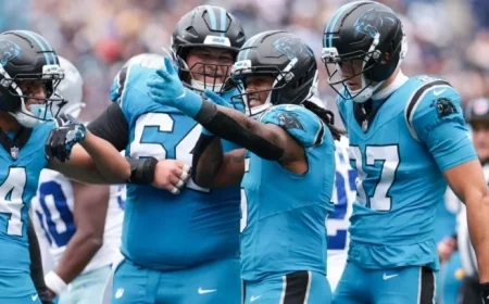 Panthers Consider Adopting Dual Running Back Strategy