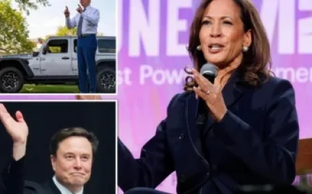 XRP Whales Signal Bullish Trend – Discover the Details