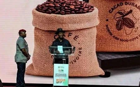 Côte d’Ivoire: Cocoa Boosts Ouattara’s Electoral Strategy