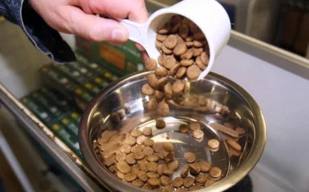 FDA Announces Voluntary Recalls of Multiple Pet Food Brands