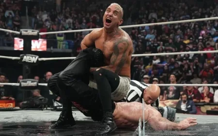 Sting Aids Darby Allin in Defeating Moxley at AEW WrestleDream 2025