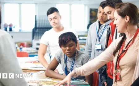 Introducing New V-Level Courses for Post-GCSE Students