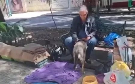 Aid Sought for Televisa Actor Found Homeless with Cats