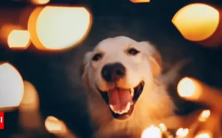 How Diwali Noise Affects Dogs’ Brains and Causes Restlessness