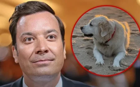 Jimmy Fallon Mourns Beloved Family Dog Gary’s Passing