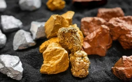 Analyst Highlights Rare Earth Stocks Amid U.S.-Australia Deal