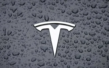 Tesla Earnings: Key Insights on Quarterly Results and Elon Musk’s Call