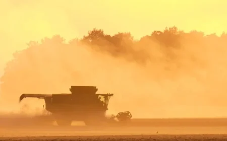 USDA Reopens County Offices to Aid Farmers Amid Government Shutdown