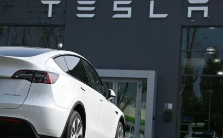 Tesla Profits Plunge Despite Record Revenue and Deliveries