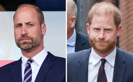 Prince William and Harry Reunite Following King Charles Meeting