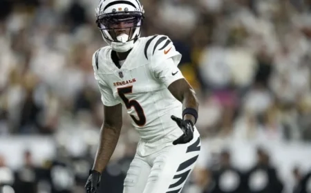 2025 Week 8 Fantasy Football WR Rankings Unveiled