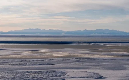 Trump Administration Approves Alaska Wildlife Refuge Oil, Gas Drilling