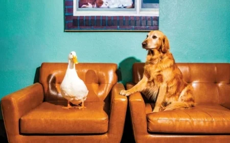 Hollywood’s Animal Actors Struggle to Secure Roles