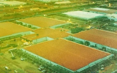 2026 Social Security Cost-of-Living Adjustment Revealed