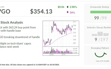 Broadcom Stock Soars with New AI Chip Business Success