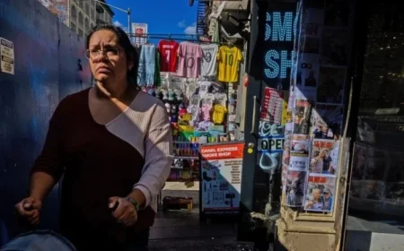 Canal Street Rebounds in NYC Following ICE Raid
