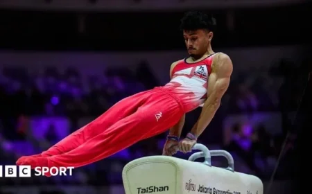2025 World Gymnastics Championships: Live Stream of Men’s Floor & Women’s Vault Final