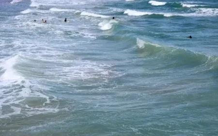 Florida Residents Warned to Avoid Water Amid Safety Concerns