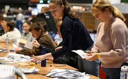 Vote Counting Begins in Irish Presidential Election