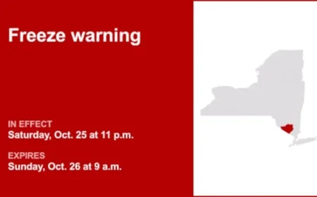 Orange County Freeze Warning: Temperatures May Drop to 31°F Until Sunday Morning