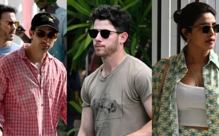 Jonas Brothers and Priyanka Chopra Gather for Miami Lunch Meeting