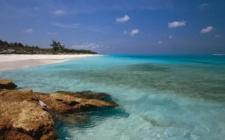 Bahamas Authorities Detain Eight Americans Over High-Powered Weapons Cache