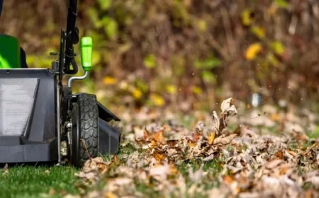When to Stop Mowing Your Lawn for Winter Preparation