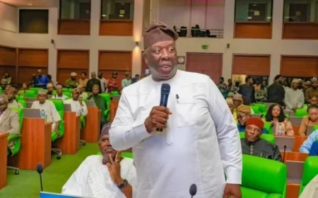 Air Peace Achieves Aviation Milestone with Abuja-London Flight – Ex-Rep