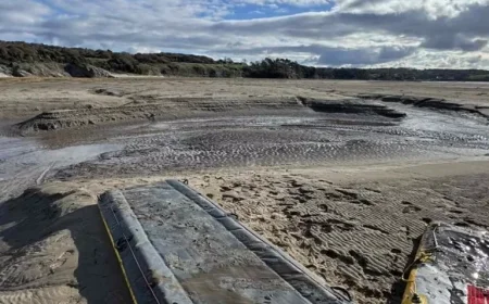 Emergency Crews Rescue Man Trapped in Quicksand with Only Head and Arm Visible