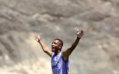 Danilo and Arthur Cabral Ready to Face Santos in Botafogo Squad
