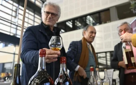 Discover France’s Finest Wines at Lyon’s Halle Tony-Garnier