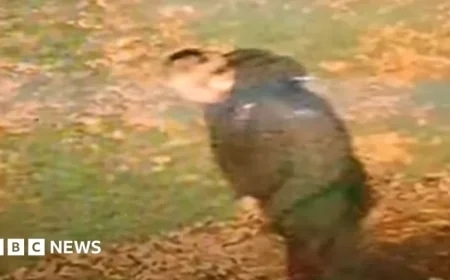 Police Release Video of Suspect in Racially Aggravated Walsall Rape