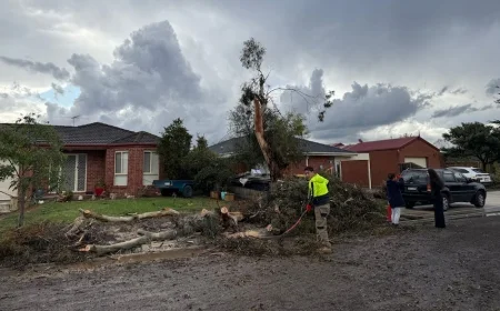 Melbourne weather today: rain eases after a blustery weekend, warmer stretch brewing by late week