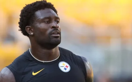 Is DK Metcalf Playing Tonight? Steelers WR Falters in Week 8 Opener