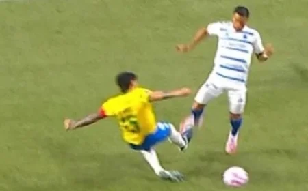 Ex-Referees Agree on Key Decision in Palmeiras vs Cruzeiro Match