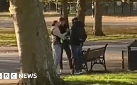 Migrant Sex Offender Arrested Swiftly in London Park