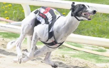 Greyhound Movie Release Officially Announced