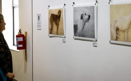 Greyhounds in South Africa Find New Purpose Through Art Initiative