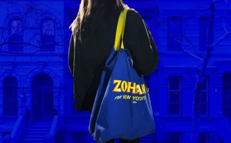 Surprising Insights from Door-to-Door Campaigning with Zohran Canvassers