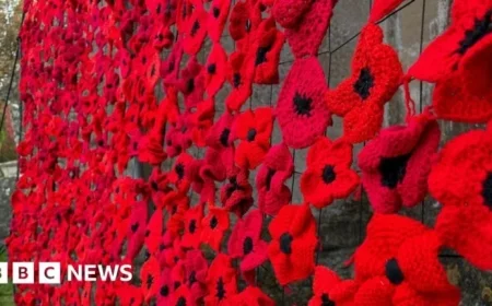 Heddington Honors Remembrance with 7,000 Knitted Poppies Display