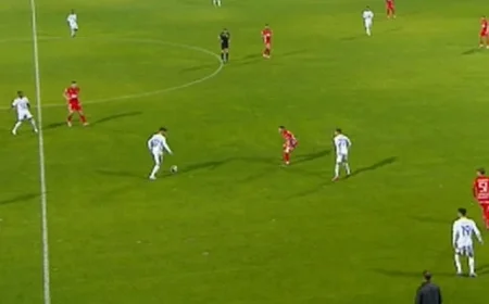 FC Botoșani vs. Hermannstadt Live at 17:30 on Digi Sport 1: Unbeaten Run Continues