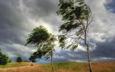 Windy conditions intensify today: where gusts are strongest, safety tips, and the best tools to track high winds
