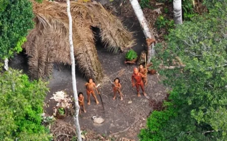 Rising Threats Endanger Survival of Uncontacted Indigenous Peoples