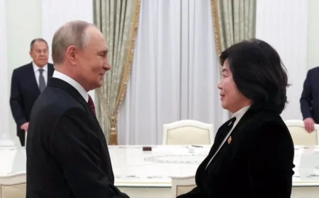 Putin Confirms North Korea Strategy Proceeding as Planned