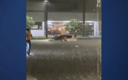 Boca Raton Teen Rescues Stranded Flood Victims