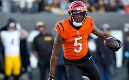 2025 NFL Week 9 Fantasy Football Projections by Top-Rated Model