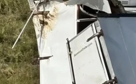 Truck Carrying Tulane Lab Monkeys Crashes on I-59